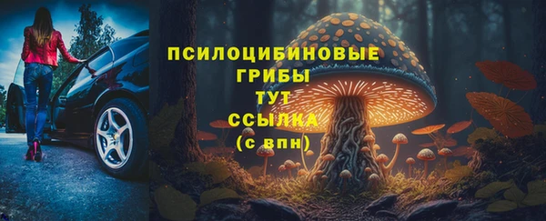 Альфа ПВП Алексин