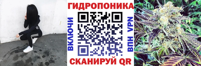kraken сайт  купить наркотики сайты  Красновишерск  Бошки марихуана конопля 